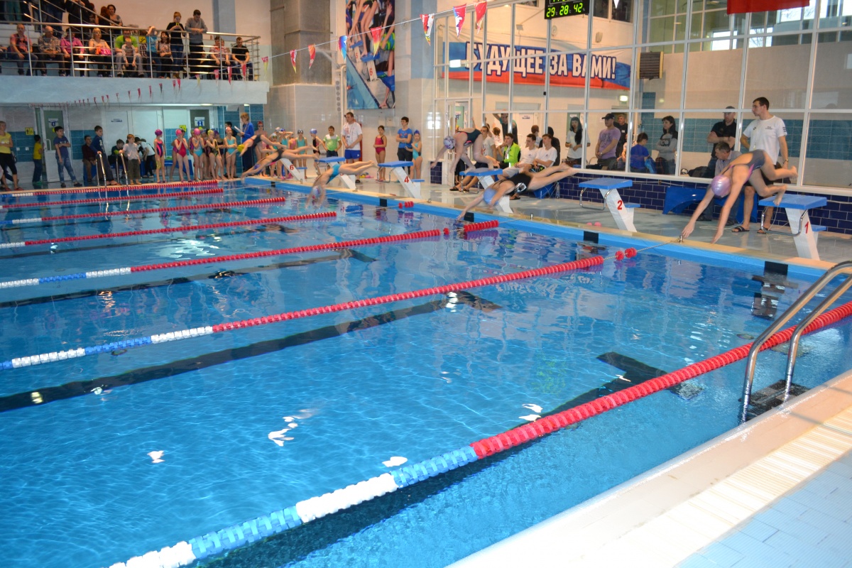 Соревнования по плаванию, посвященные  Всемирному дню здоровья в 2016 году 
